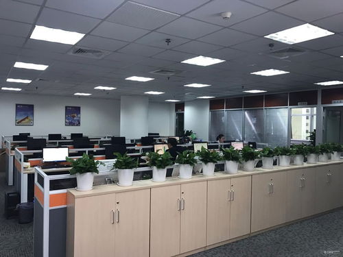 看准网视角 企业总部管理的成功密码——快速发展与优质工作环境