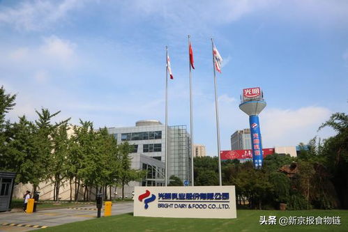 以智战“剩” 光明乳业5C竞争力驱动总部管理，焕发鲜奶产业新活力